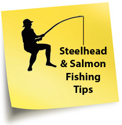 Salt Water Fishing Tips