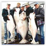 halibut charters