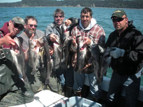 Sea Bass Fishing