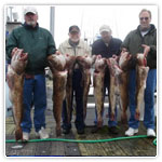 ling cod charters