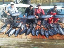 Tuna Tuna