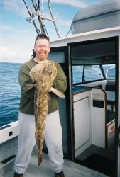 Ling Cod