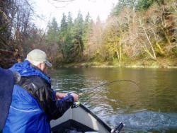 Big Steelhead