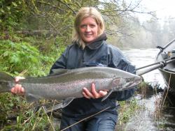 Steelhead Trout