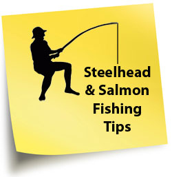 Fishing Tips