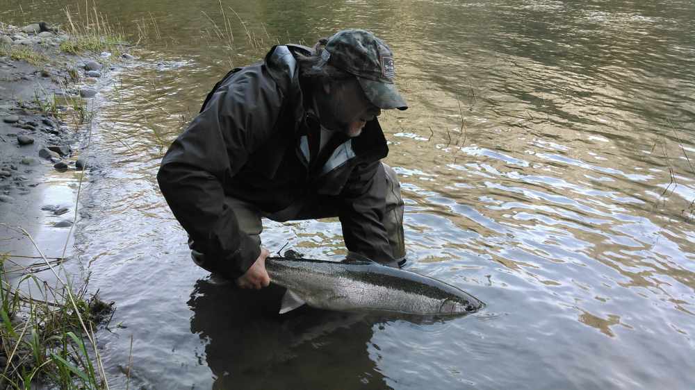 NOW FISHING STEELHEAD ON OLYMPIC PENINSULA