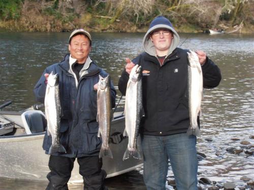 Steelhead Salmon Sol Duc River Dec 2013
