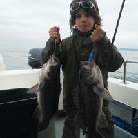 Bottom Fish