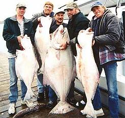 halibut fishing charters washington state